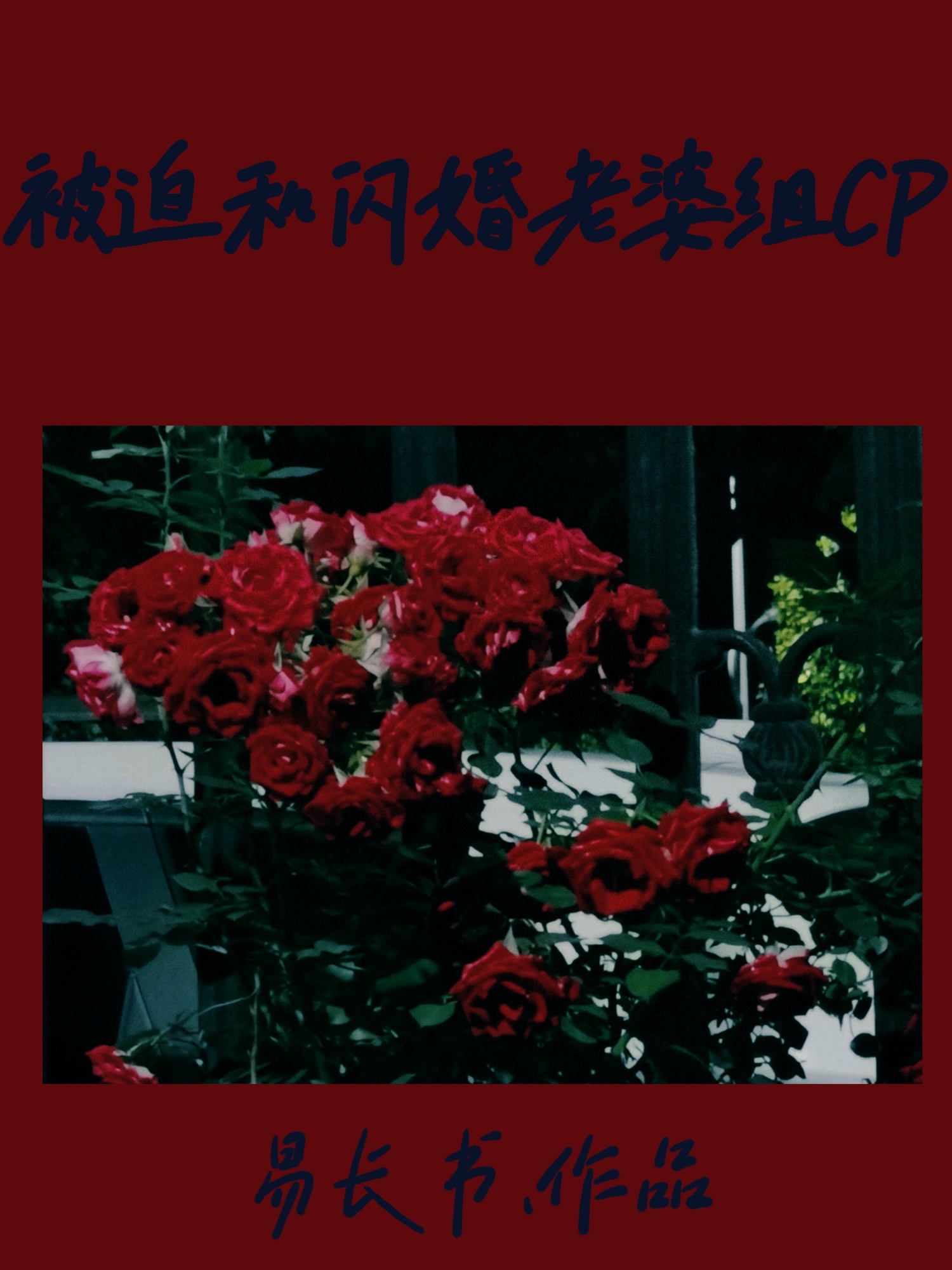 被迫和闪婚老婆组CP