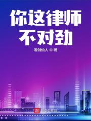 你这律师不对劲 小说