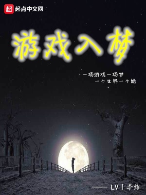 入梦的游戏解说视频