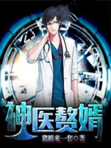 神医赘婿