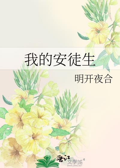 我的安徒生txt