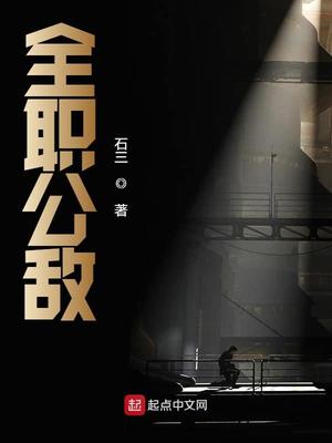 全职公敌小说