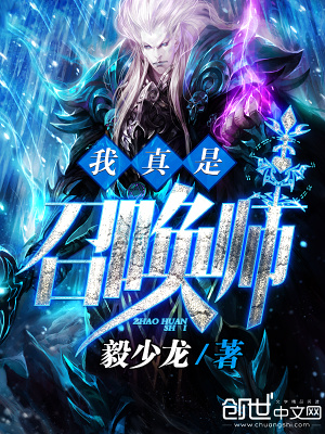 我真是召唤师 小说