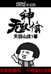 无敌神偷系统