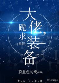 大佬,跪求装备!
