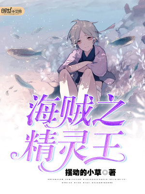 海贼之精灵王 聚合中文网