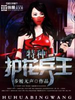 特种护花兵王 小说