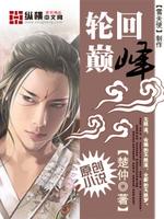 轮回巅峰 小说