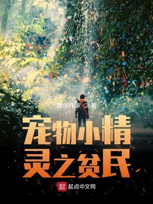 宠物小精灵之贫民好看吗