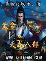 武帝之天龙八部小说TXT下载