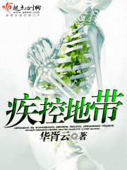 疾控地带 小说