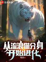 从家猫变成流浪猫