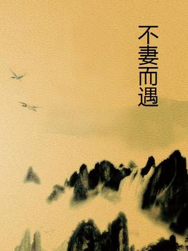 不妻而遇苏清绾