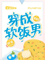 穿成软饭男