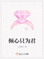 只为君倾心上一句