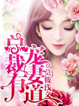 总裁宠妻有道韩丽