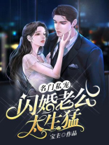 名门闪婚之老公太腹黑