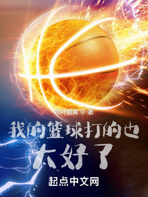 我的篮球打的也太好了笔趣趣