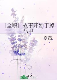 ［全职］故事开始于掉马甲