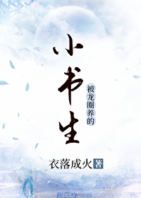 小书生他想尚公主盼生九