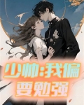 少帅：我偏要勉强