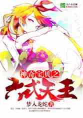 神奇宝贝之六式天王