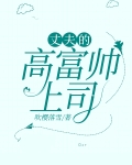 丈夫的高富帅上司
