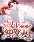 三宝来袭:权少独爱妻