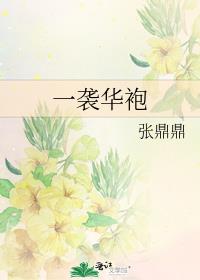 一袭华袍讲的什么
