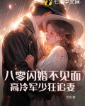 八零闪婚不见面，高冷军少狂追妻