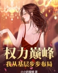 权力巅峰：我从基层步步布局