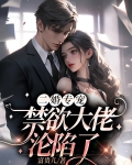 二婚专宠，禁欲大佬沦陷了