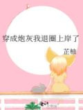 穿成炮灰我退圈上岸了